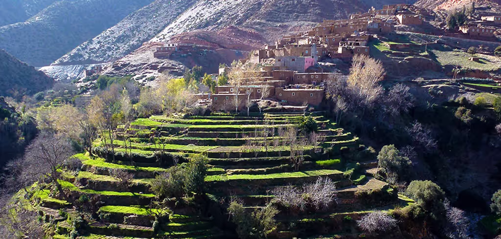 Marrakech Private Tour - 