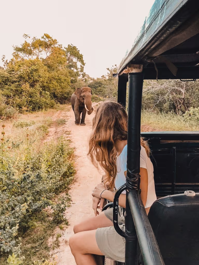 Trincomalee Private Tour - 