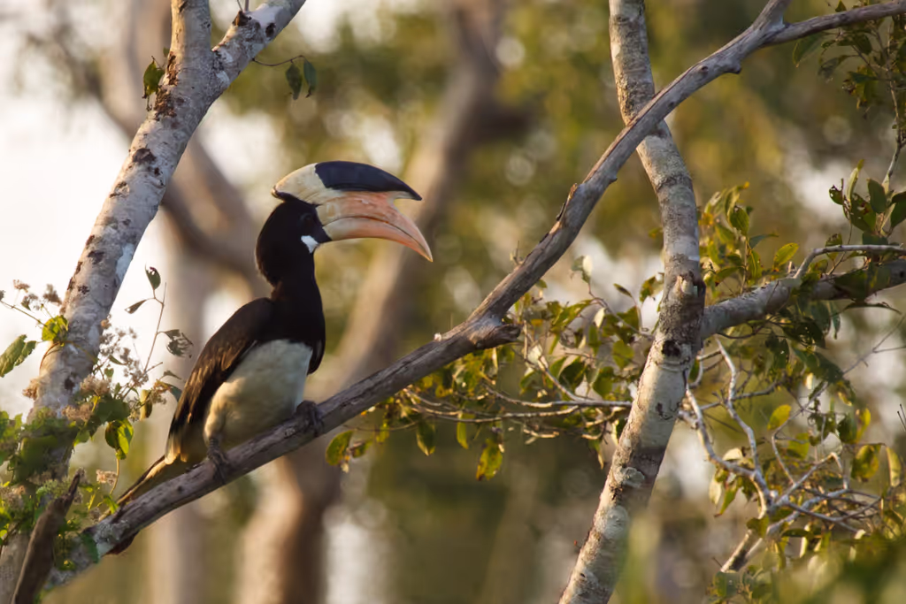 Trincomalee Private Tour - 
