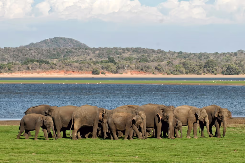 Trincomalee Private Tour - 