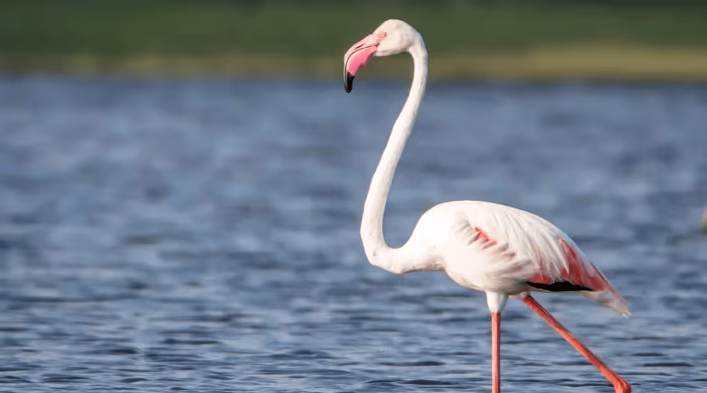 Amparai Private Tour - 