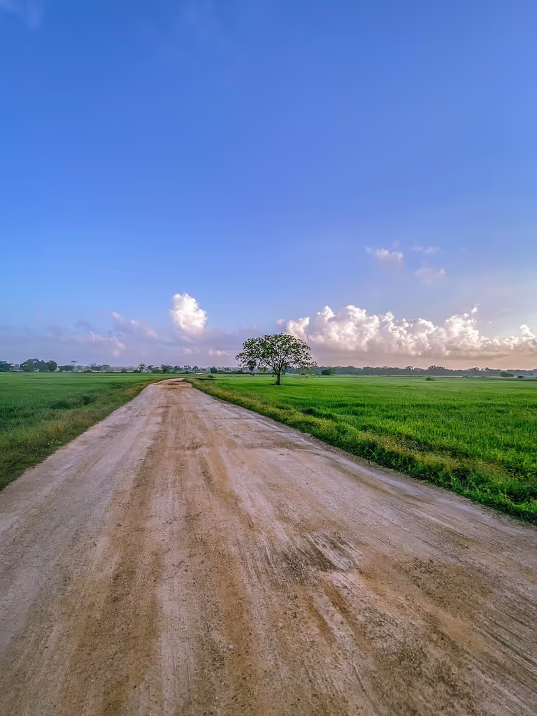 Amparai Private Tour - 