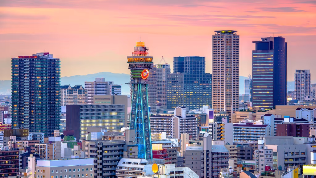 Osaka Private Tour - 