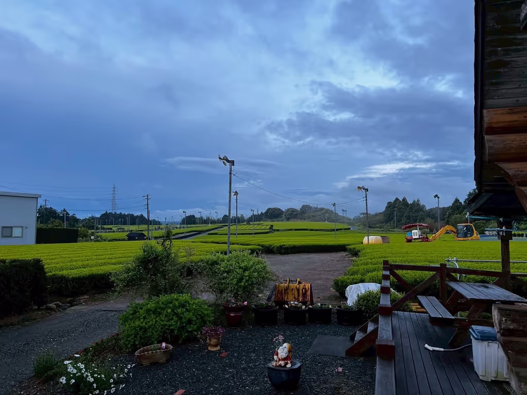 Tokyo Private Tour - 