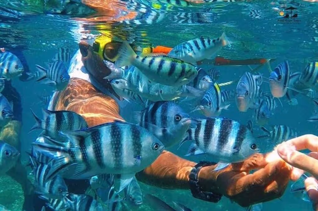 Zanzibar Private Tour - 