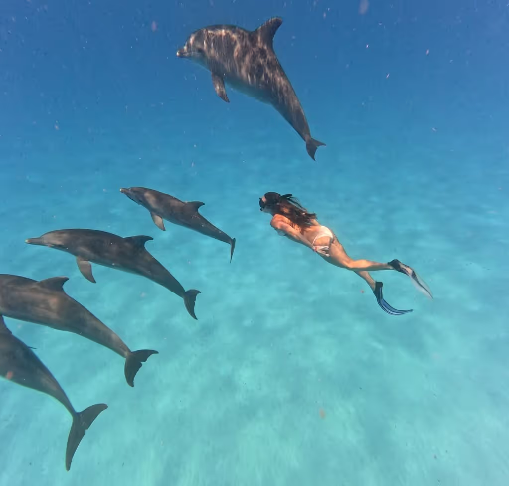 Zanzibar Private Tour - 