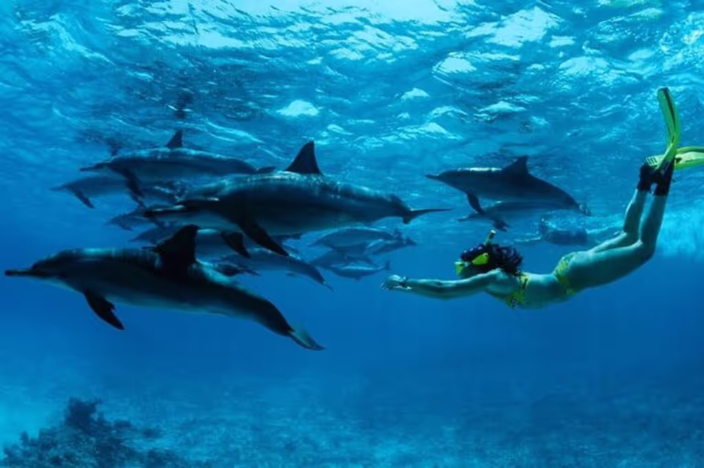 Zanzibar Private Tour - 