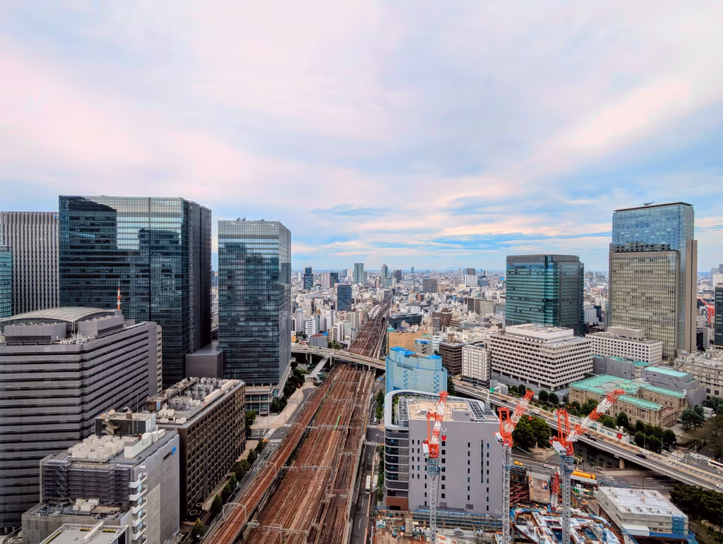 Tokyo Private Tour - Tokyo station from above