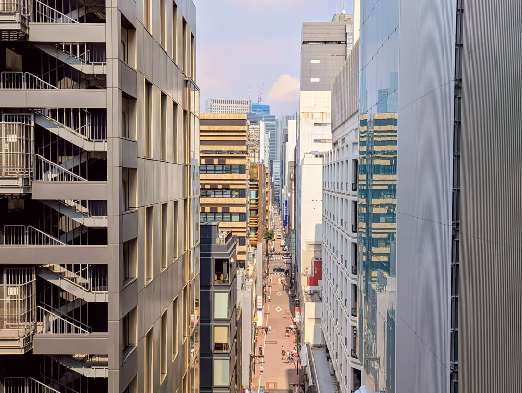 Tokyo Private Tour - Ginza street view from above