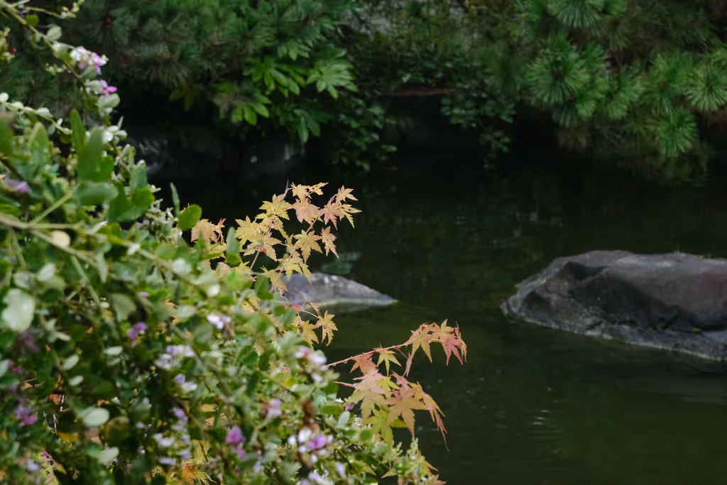 Kanagawa Private Tour - Enjoy seasonal flowers and plants.