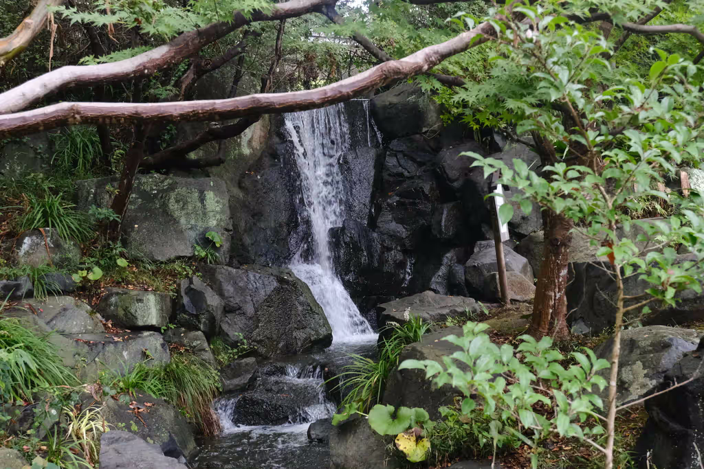 Kanagawa Private Tour - There is also a small waterfall.
