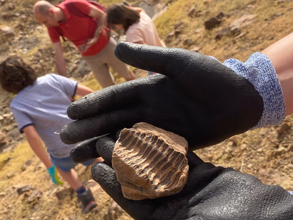Marrakech Private Tour - trilobite site sidi ali tafraout