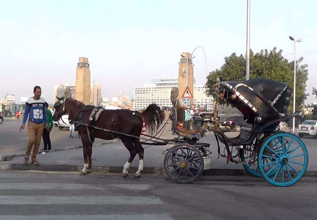 Cairo Private Tour - Cairo walking tour