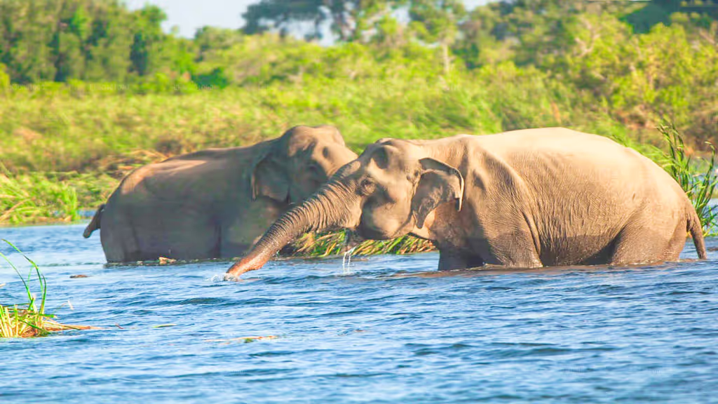 Amparai Private Tour - 