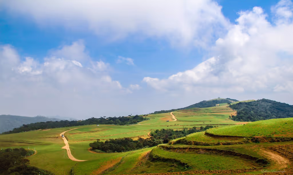 Ella Private Tour - 