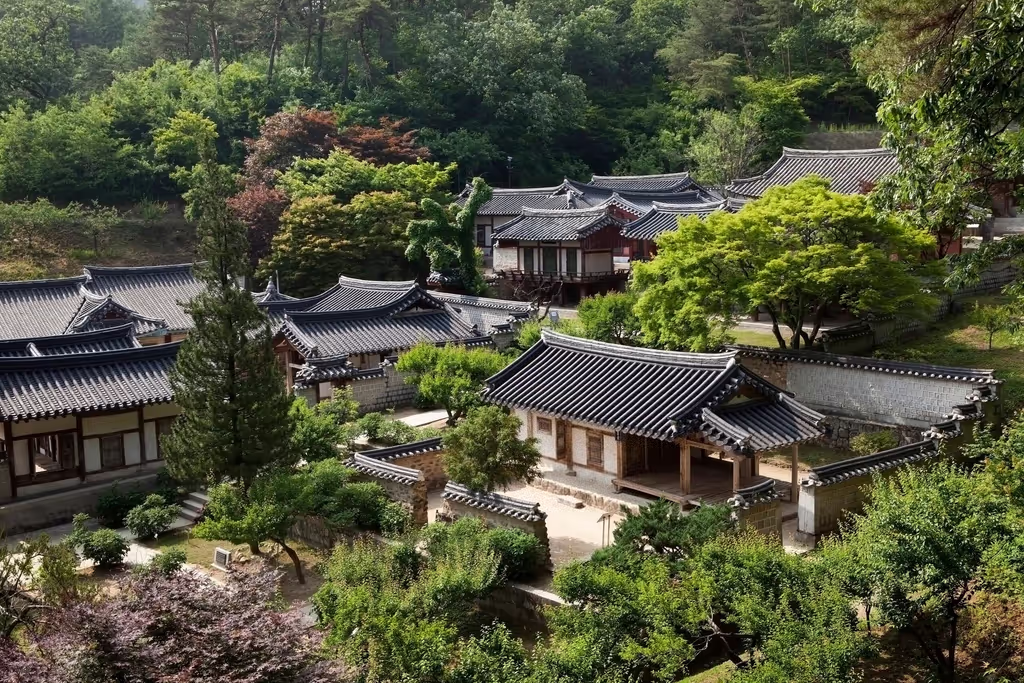 Daegu Private Tour - 