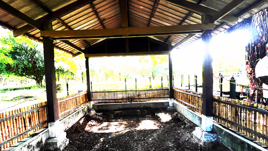 Siem Reap Private Tour - Mass grave site at the Killing Fields.