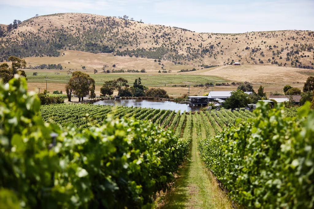Hobart Private Tour - 