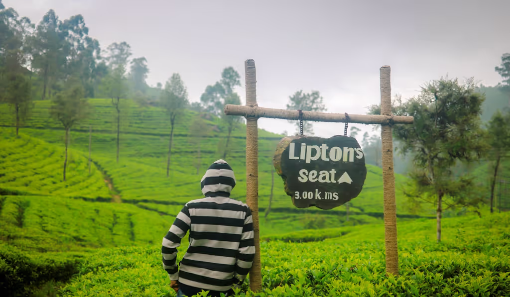 Ella Private Tour - 