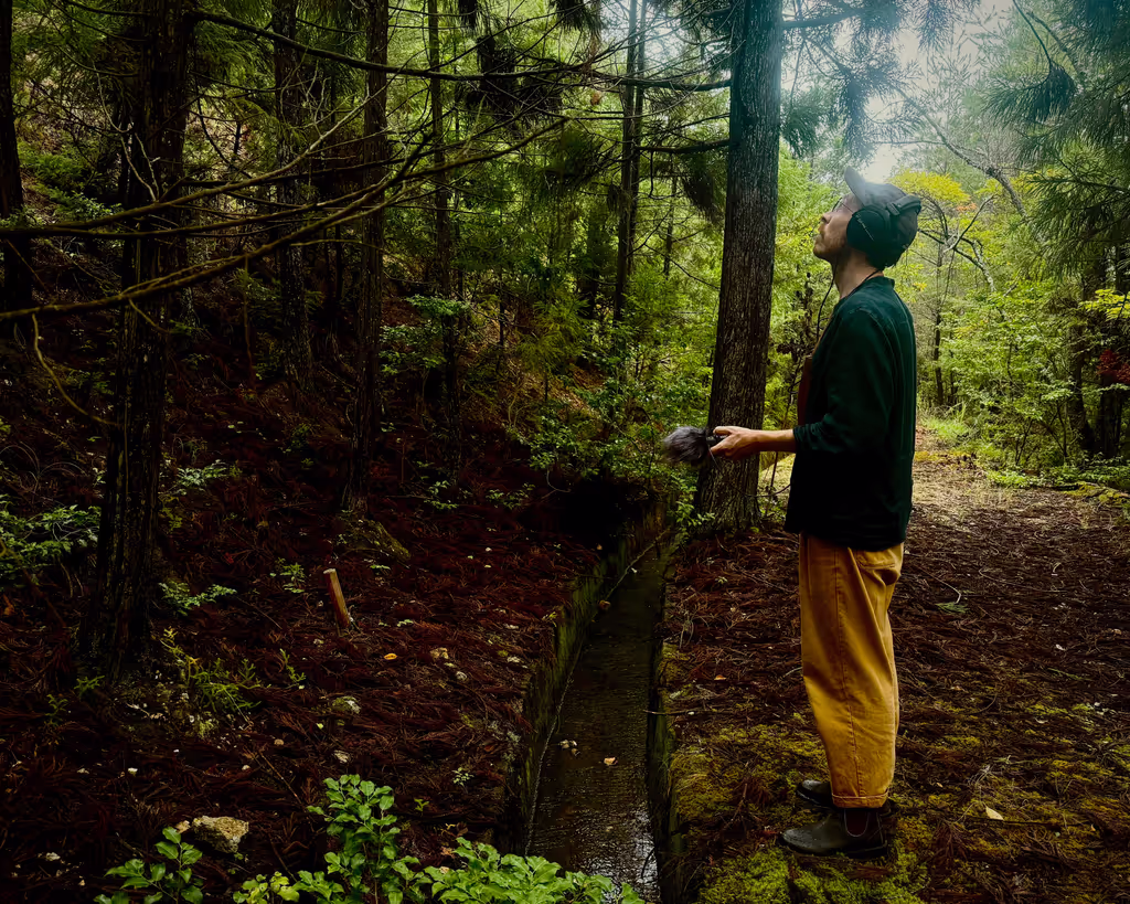 Kyoto Private Tour - Recording the sounds of the forest