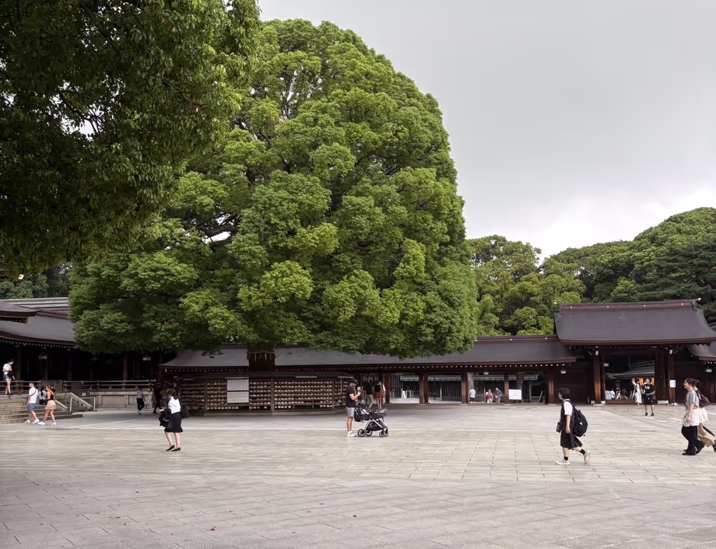 Tokyo Private Tour - Meiji Shrine