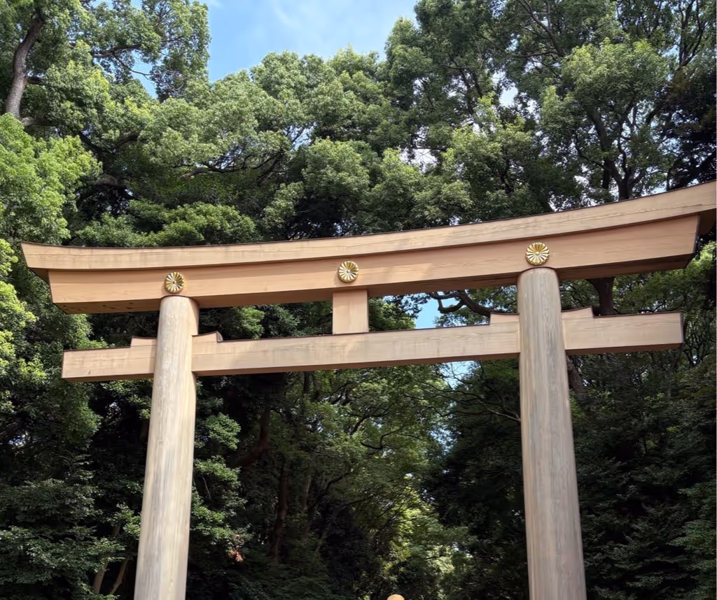 Tokyo Private Tour - Torii gate