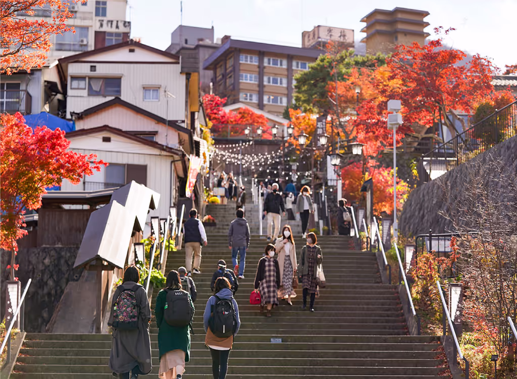 Tochigi Private Tour - 