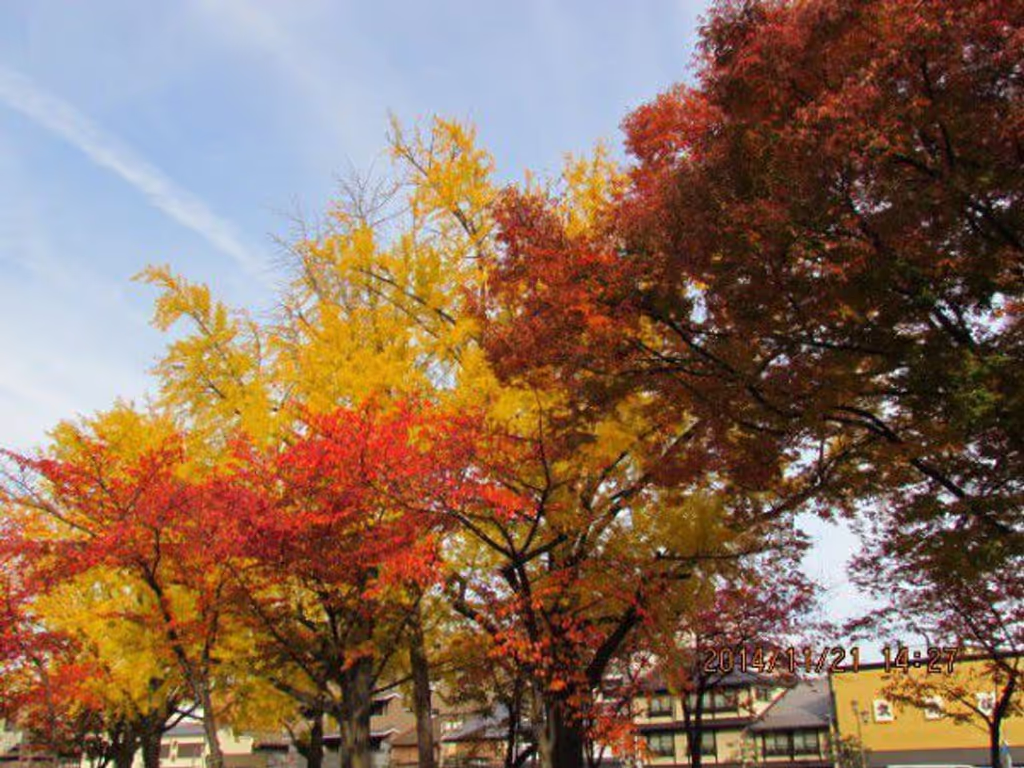 Kyoto Private Tour - Gojo Street in front of Higashi Hionganji Temple