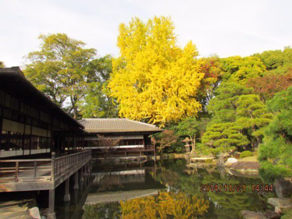 Kyoto Private Tour - Rinchitei at Shosei-en Garden