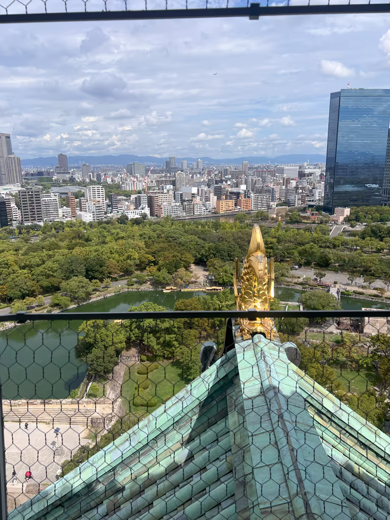 Osaka Private Tour - view from the top