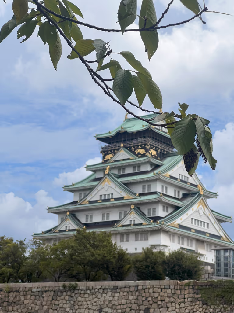 Osaka Private Tour - Osaka castle main tower