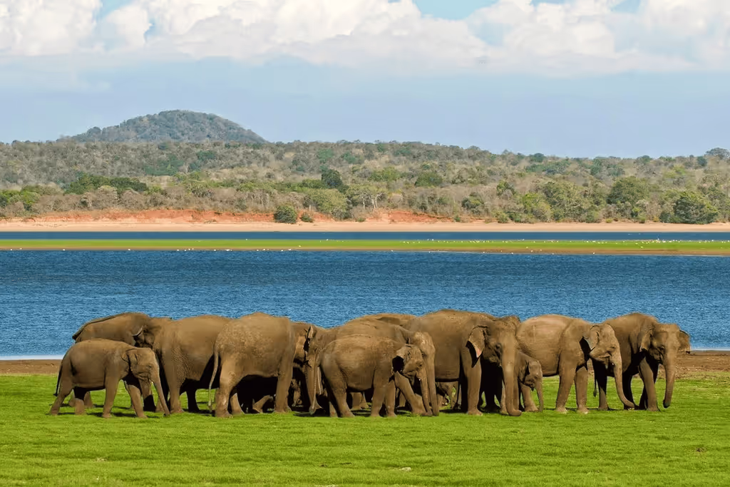 Colombo Private Tour - 