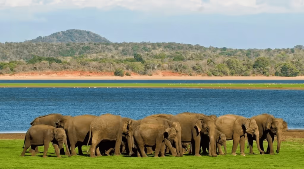 Colombo Private Tour - 