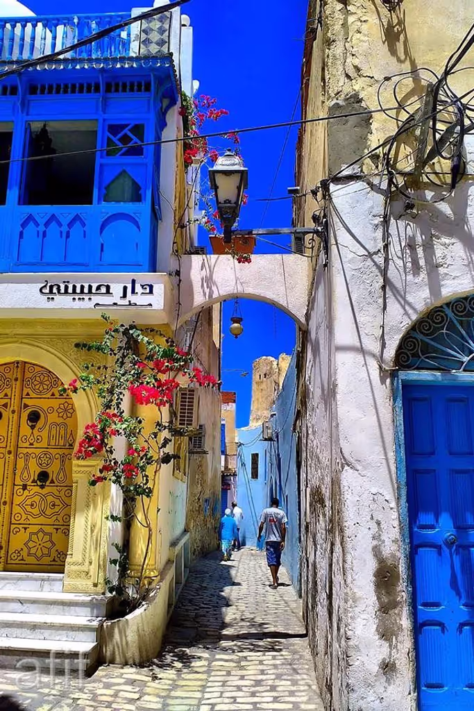 Tunis Private Tour - 