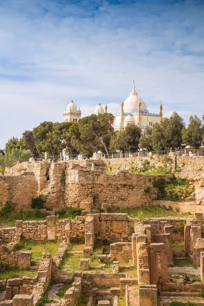 Tunis Private Tour - 