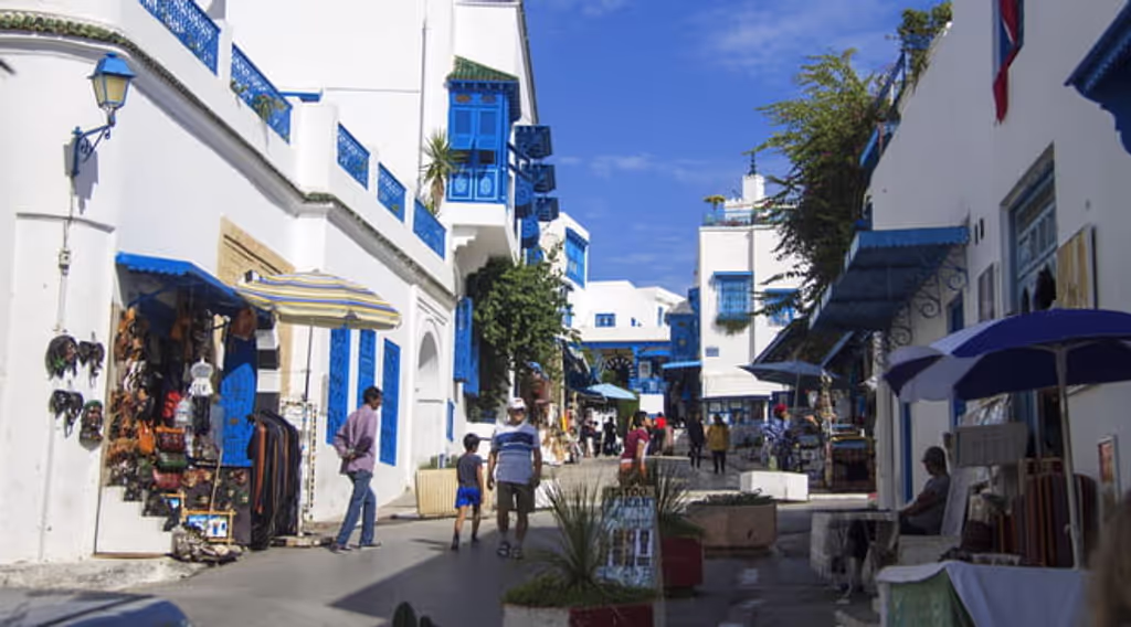 Tunis Private Tour - 