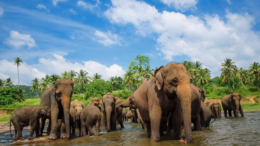 Colombo Private Tour - 