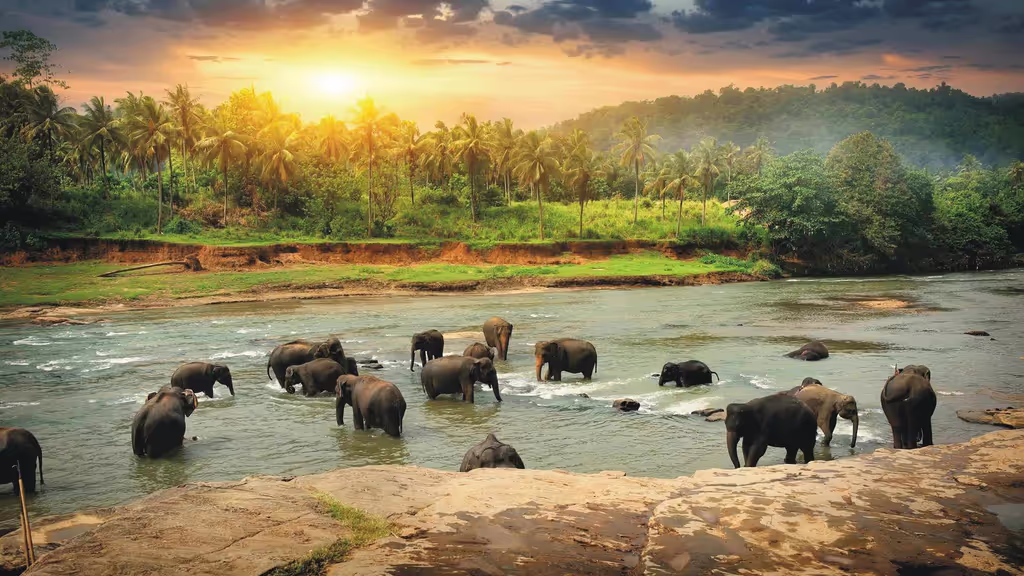Colombo Private Tour - 