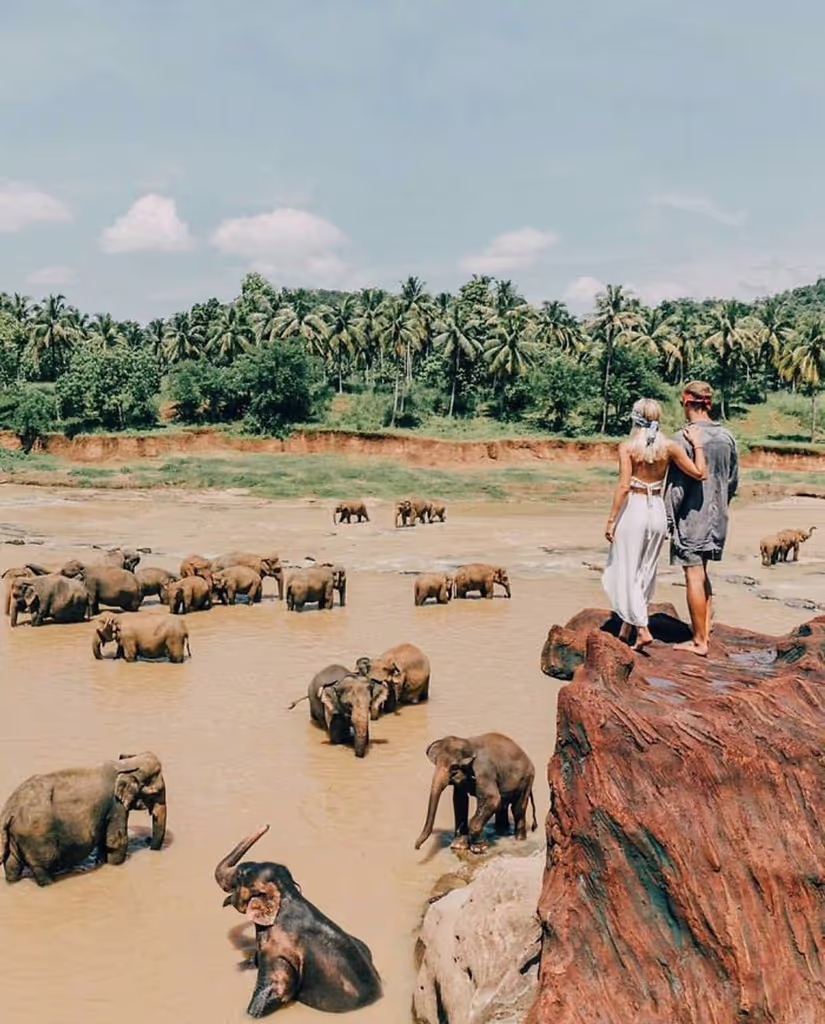 Colombo Private Tour - 