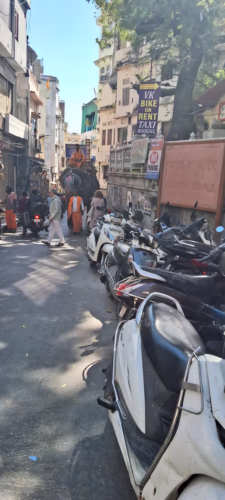 Udaipur Private Tour - Street view