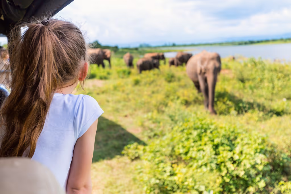 Colombo Private Tour - 