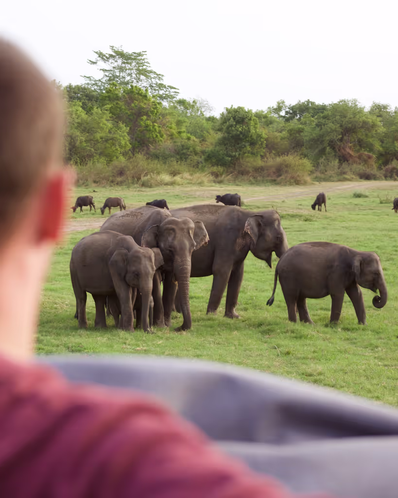 Colombo Private Tour - 