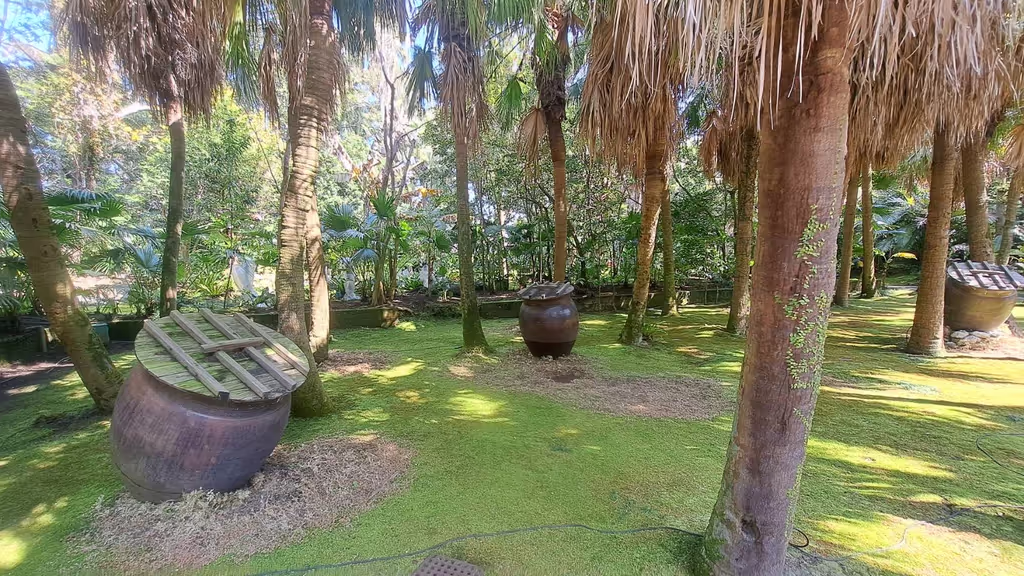 Kagoshima Private Tour - Tropical plants