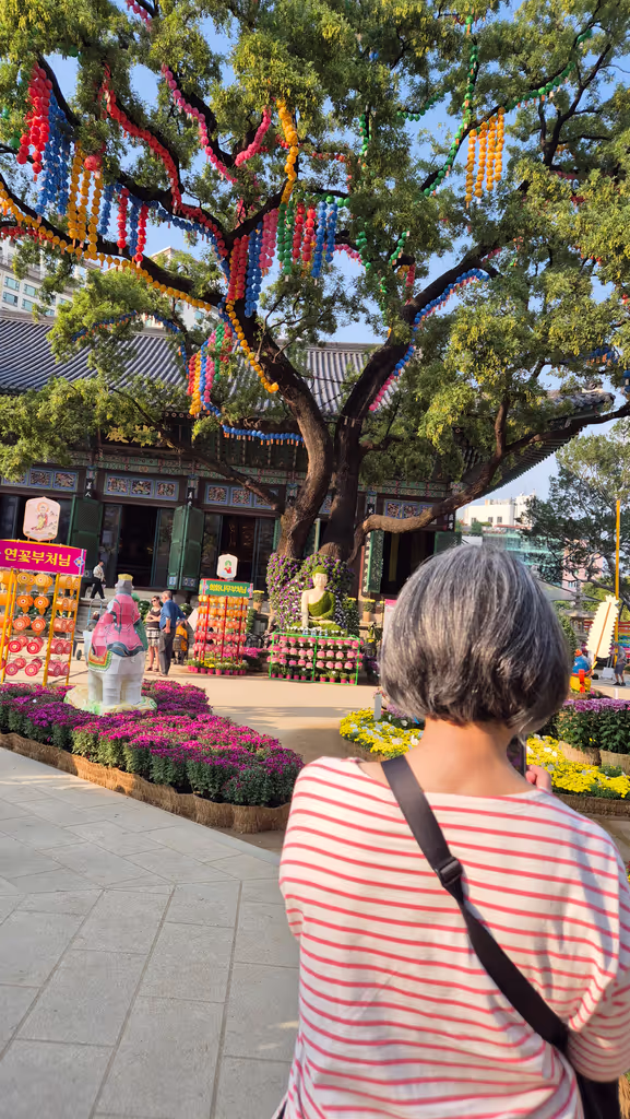 Seoul Private Tour - 
