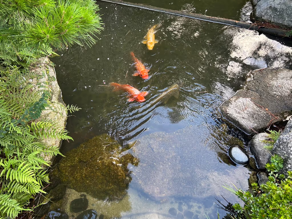 Fukuoka Private Tour - 