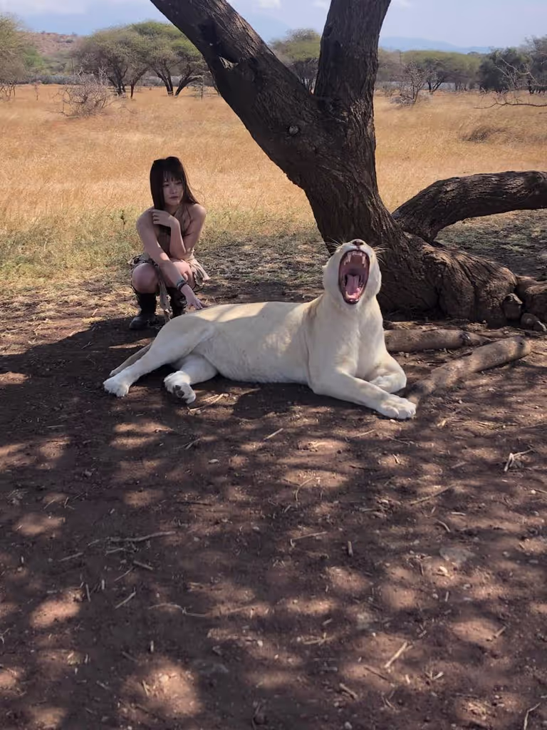 Moshi Private Tour - lion