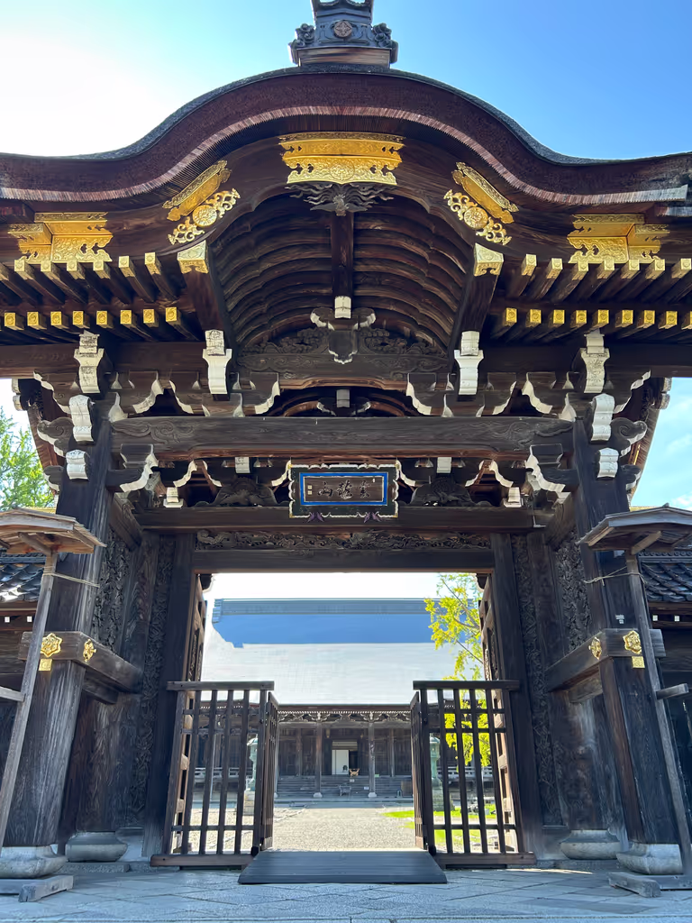 Toyama Private Tour - Karamon gate
