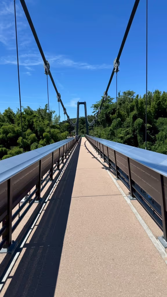 Toyama Private Tour - footpath