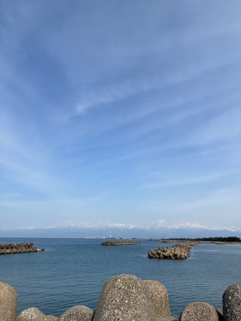 Toyama Private Tour - Tateyama mountain range from the coastline