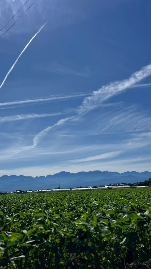 Toyama Private Tour - the view of mountain range